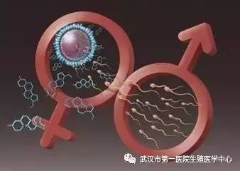 新生儿