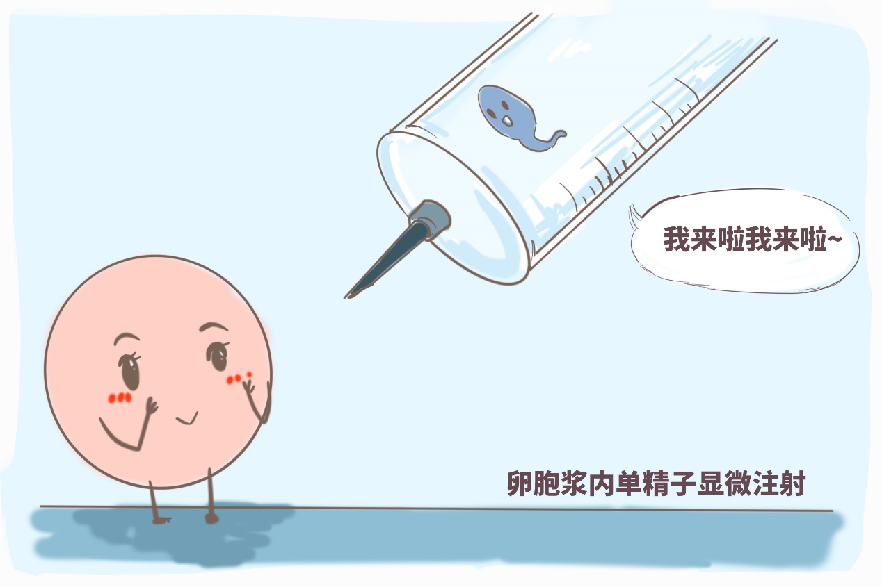 男性不育