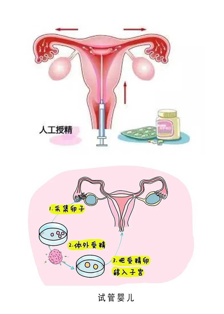 养兔子