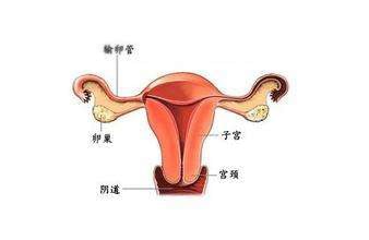 出生第一天婴儿禁忌