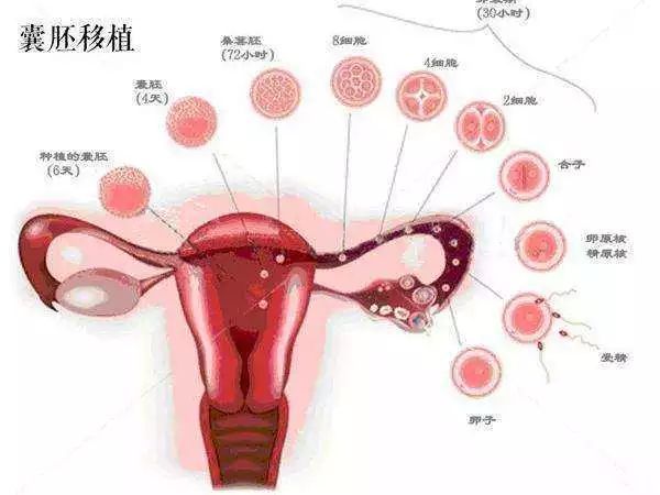 分娩体验