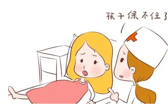 内裤