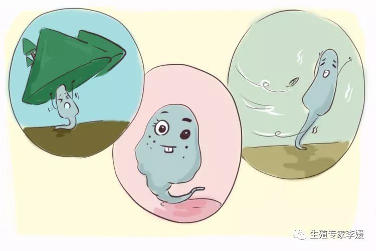 兔子养殖