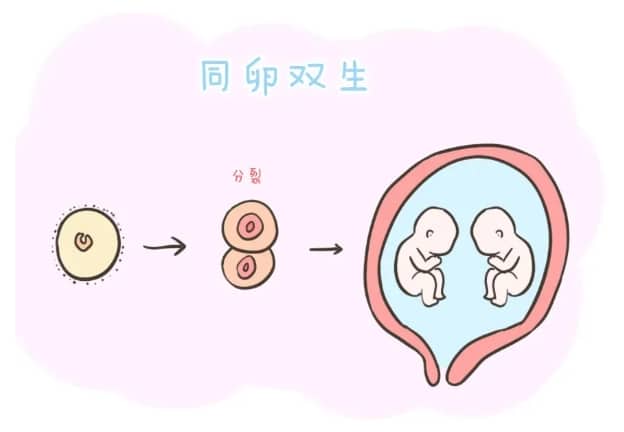 怀孕试纸