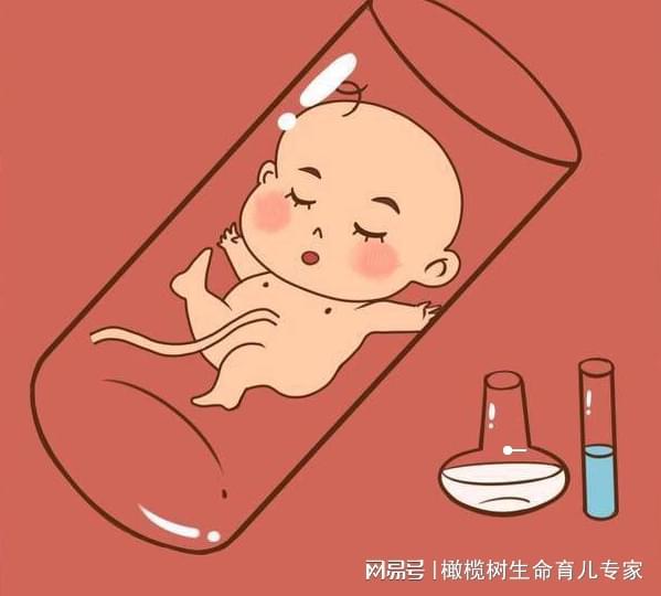 分娩体验仪器
