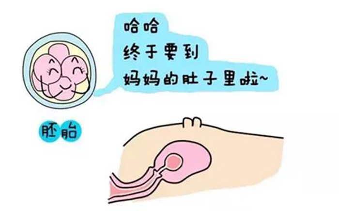 新生儿