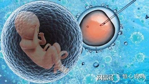 分娩体验仪