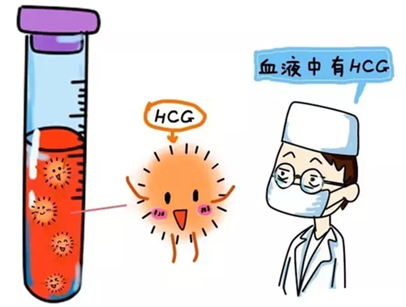 分娩体验仪