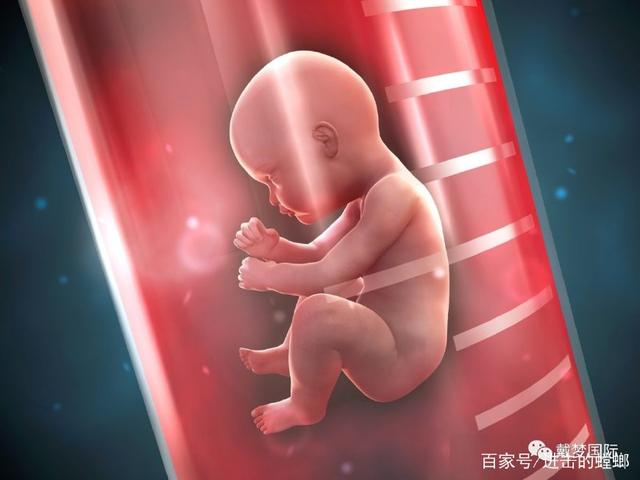 刚出生的婴儿