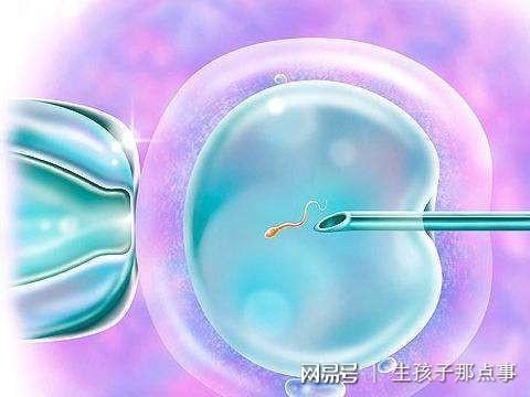 郑州试管婴儿