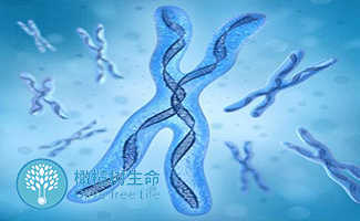郑州试管包成功套餐