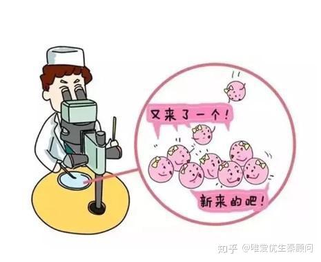 哈尔滨捐卵公司