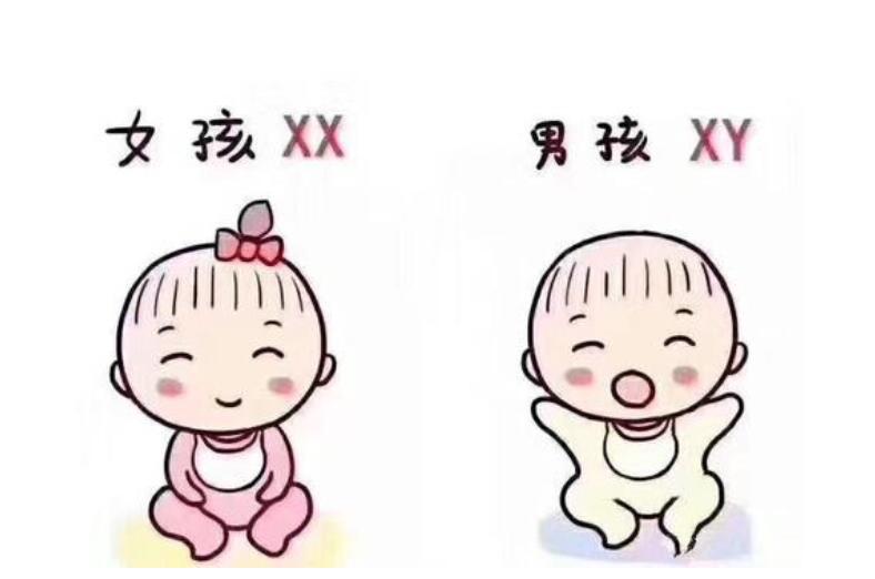 哈尔滨捐卵试管中心医院