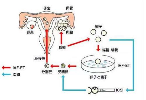 生物科技