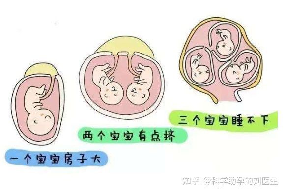捐卵