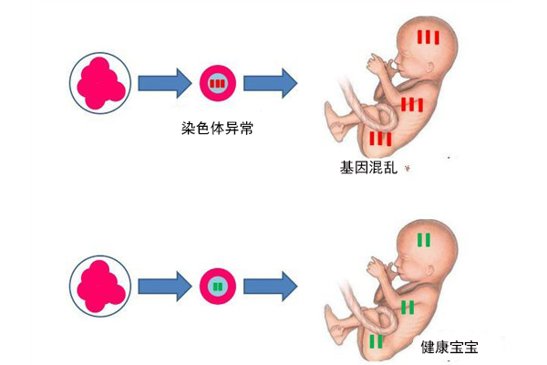 哈尔滨国生生物科技有限公司